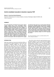 Activin-mediated mesoderm induction requires FGF