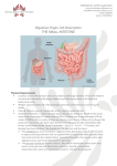 Digestive Organ Job Description THE SMALL INTESTINE