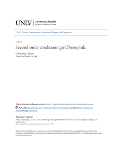 Second-order conditioning in Drosophila