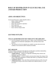 role of respiration in glycolysis, co2 and h20 production