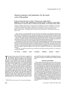 Surgical anatomy and landmarks for the basal vein of Rosenthal