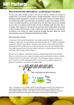 Fact sheet RNA-directed DNA Methylation