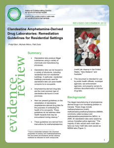 Clandestine Amphetamine-Derived Drug Laboratories