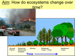 7 - Ecological Succession