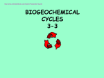 Biogeochemical Cycles PPT