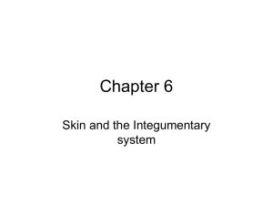 Chapter 6