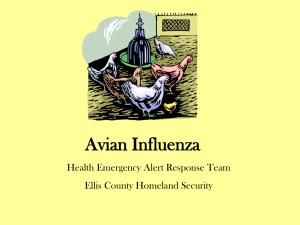 Avian Influenza