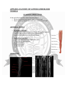 APPLIED ANATOMY OF LOWER LIMB BLOOD VESSELS