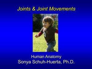 Ch9.Joints.Lecture