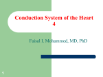 1 Conduction System of the Heart 4