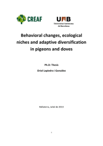 Behavioral changes, ecological niches and adaptive diversification
