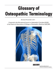 Glossary of Osteopathic Terminology - AVT