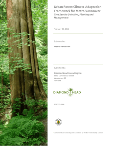 Urban Forest Climate Adaptation Framework for Metro Vancouver