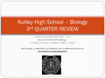 NJBCT Third Quarter Review