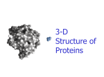 6. 3-D structure of proteins