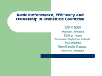 Bank Performance, Efficiency and Ownership in Transition Countries