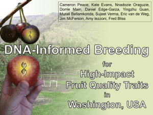 DNA-informed breeding for high-impact fruit quality traits in