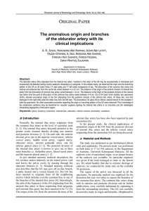 The anomalous origin and branches of the obturator artery with its