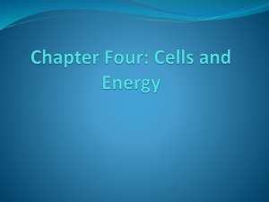 Biology Chapter 4