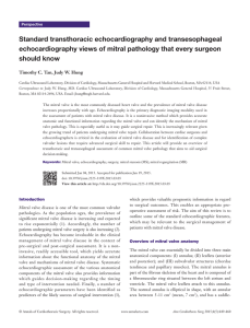 Standard transthoracic echocardiography and transesophageal