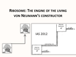 RIBOSOME: THE ENGINE OF THE LIVING VON NEUMANN`S
