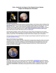 Pluto—Explored! and Views of Our Planets Forever