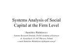 System Analysis of Social Capital of the firm Level