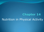 Nutrition In Physical Activity