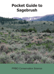 Pocket Guide to Sagebrush