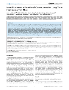 Identification of a Functional Connectome for Long