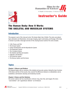 Instructor`s Guide The Human Body: How It Works THE SKELETAL