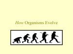 How Organisms Evolve