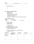 Tissues- ______ of cells with similar and . Four types of tissues 1. 2