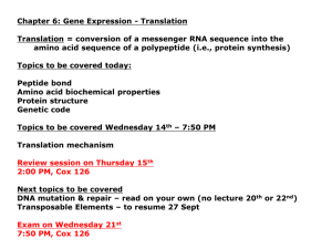 Gene expression: Translation
