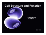 Cell Structure and Function