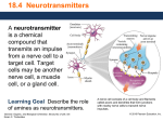 4 Neurotransmitters GOB Structures