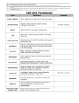 CHEMISTRY UNIT VOCABULARY