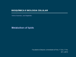 Metabolism of lipids