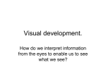 Visual development.