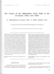 Course of the Ophtmalmic Nerve Both in the Cavernous Sinus and