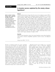 Is invasion success explained by the enemy release hypothesis?