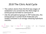 21.8 The Citric Acid Cycle