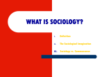 What is Sociology?