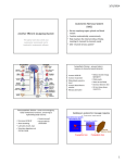 Another Efferent (outgoing) System Autonomic Nervous System (ANS)