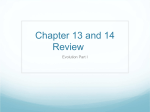 Chapter 13 and 14 Review