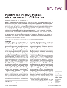 The retina as a window to the brain—from eye research to CNS