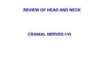 Head_and_Neck_Review_Cranial_Nerves_2011Final