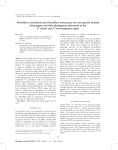 Penicillium astrolabium and Penicillium neocrassum, two new