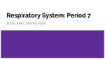 Respiratory System: Period 7 - Mercer Island School District