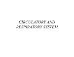 CVS, Respiratory System